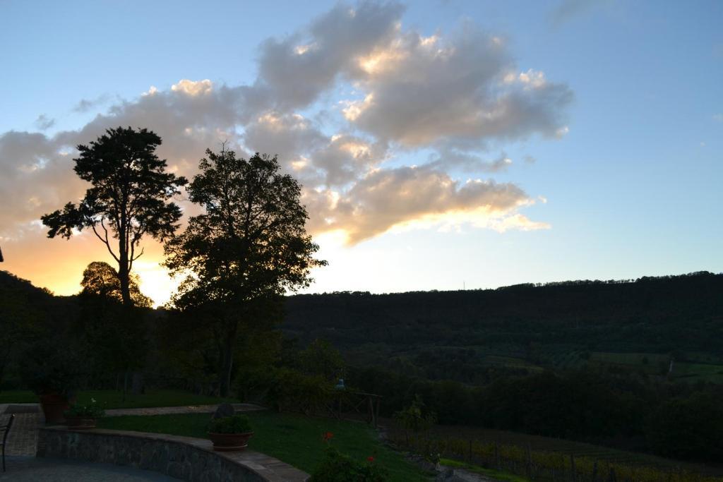 Agriturismo Lapone ออร์เวียโต ภายนอก รูปภาพ