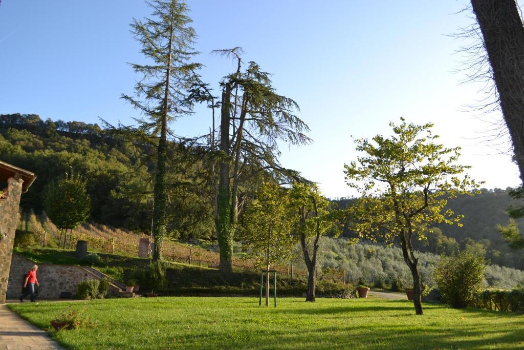 Agriturismo Lapone ออร์เวียโต ภายนอก รูปภาพ